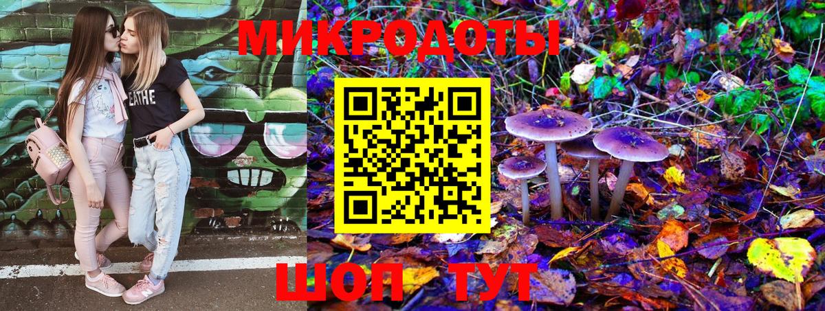 Галлюциногенные грибы Psilocybe  Вход с VPN  Карталы 