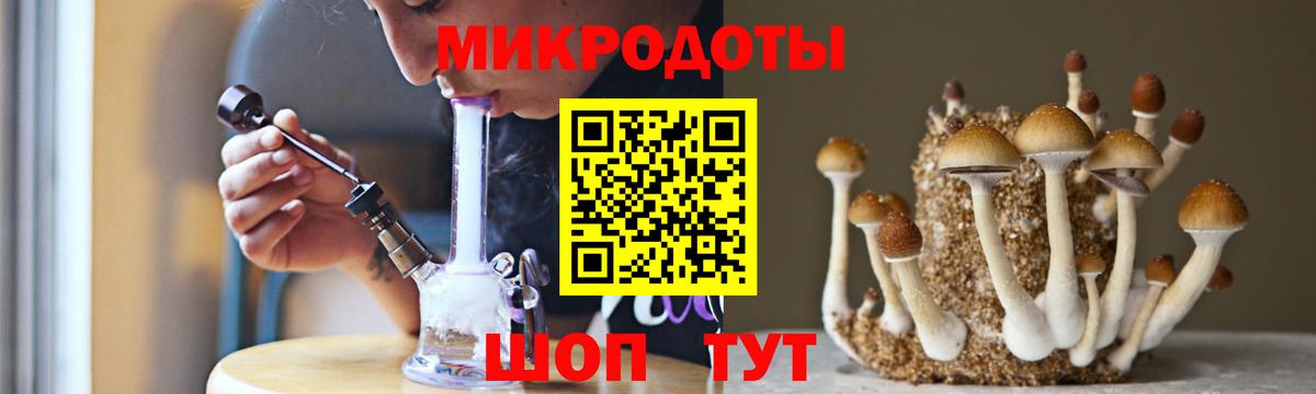 Галлюциногенные грибы мицелий Карталы